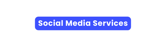 Social Media Services